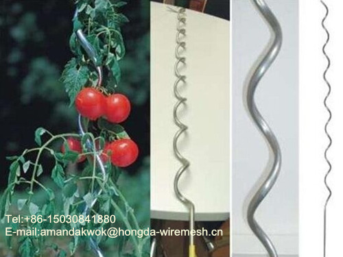 Galvanized Wire Iron Spiral Greenhouse Tomato Support Wire Supplier